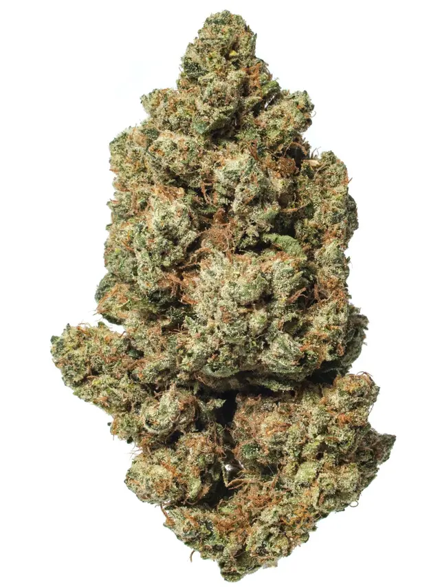 WEED DELIVERY & MY GREEN LIBRARY INC — photo from the business 8
