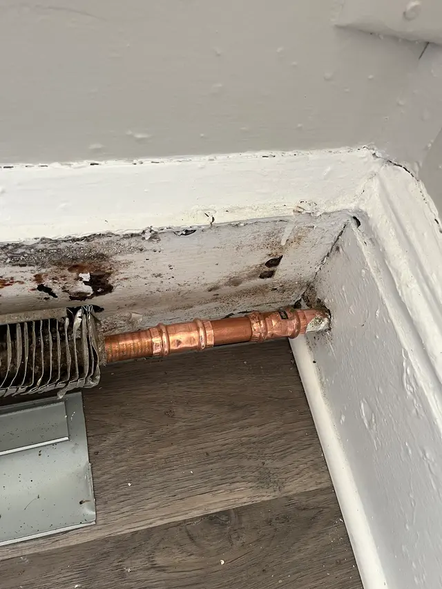 G & D and Sons Plumbing and Drain Services — photo from the business 11