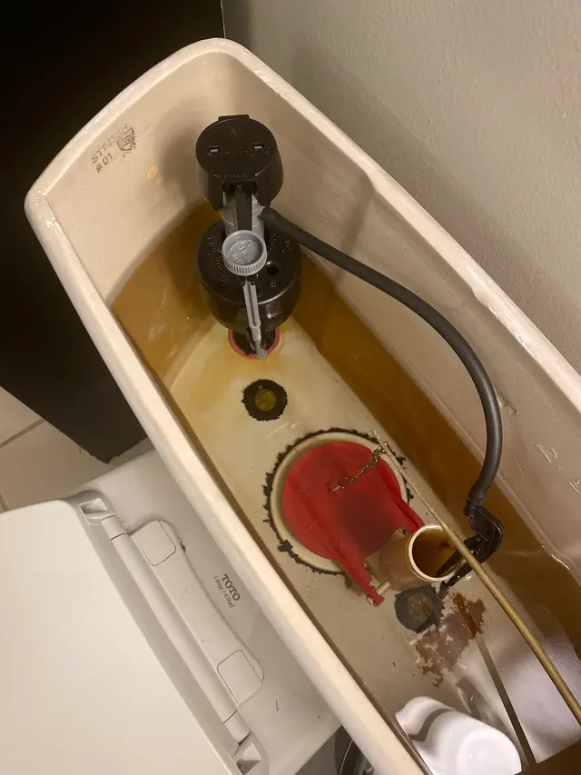 Customer photo from Mical's review