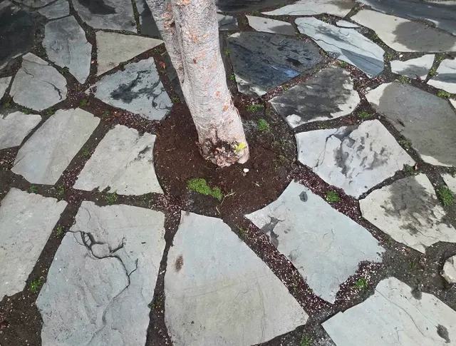 Customer photo of work by RB Landscaping, from Laura Stewart's review