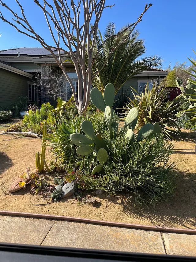Bay Area Sprinkler & Landscape — photo from the business 6