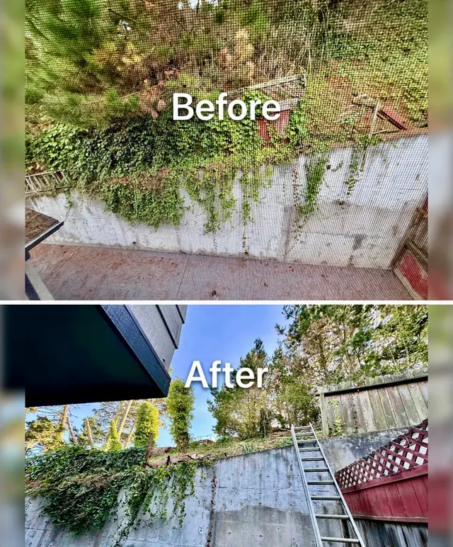 Customer photo of work by Green Valley Landscaping Services, from AlanMZ Lee's review