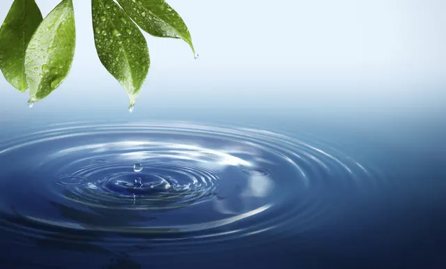 McKay Irrigation Systems — photo from the business 3