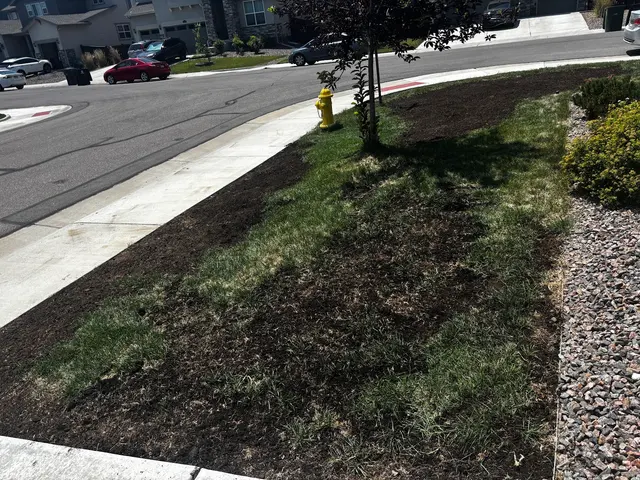 Weed Man Lawn Care — customer photo 9