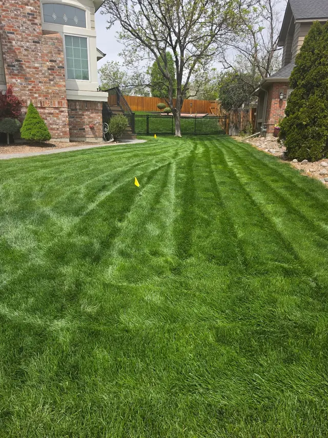 Weed Man Lawn Care — customer photo 5
