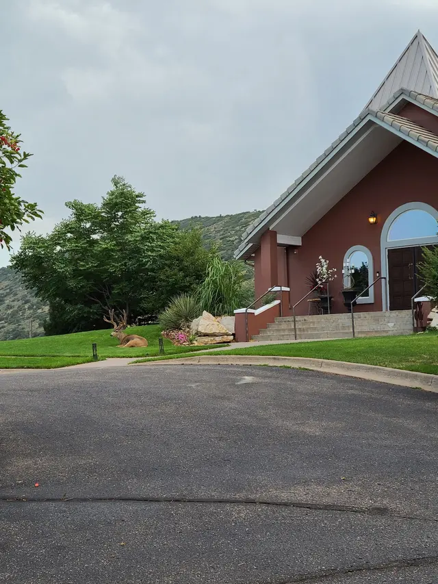 Weed Man Lawn Care — customer photo 10