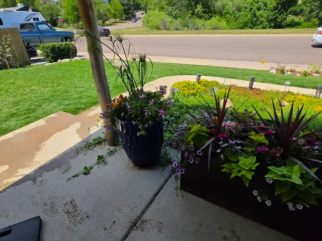 Weed Man Lawn Care — customer photo 8