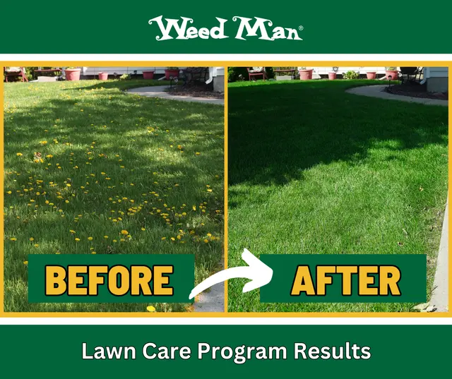 Weed Man Lawn Care — photo from the business 11