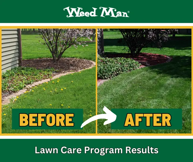 Weed Man Lawn Care — photo from the business 2
