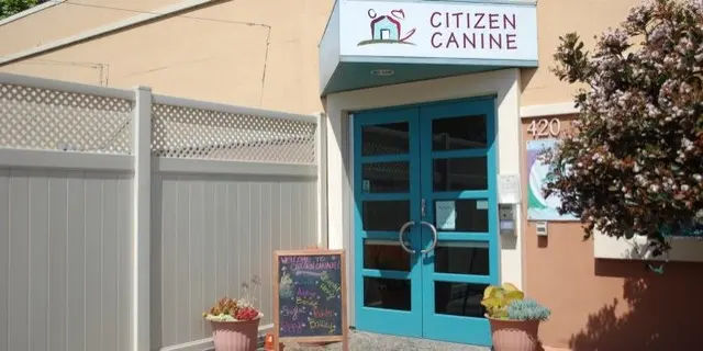 Citizen Canine — photo from the business 5