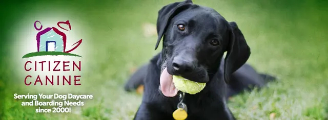 Citizen Canine — photo from the business 1