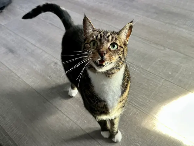 Travelers Pet Care — photo from the business 5