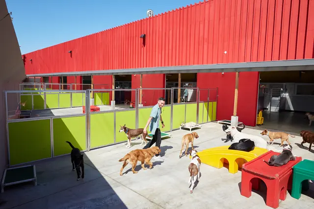 Happy Hound Play & Daycare, Inc. — photo from the business 8