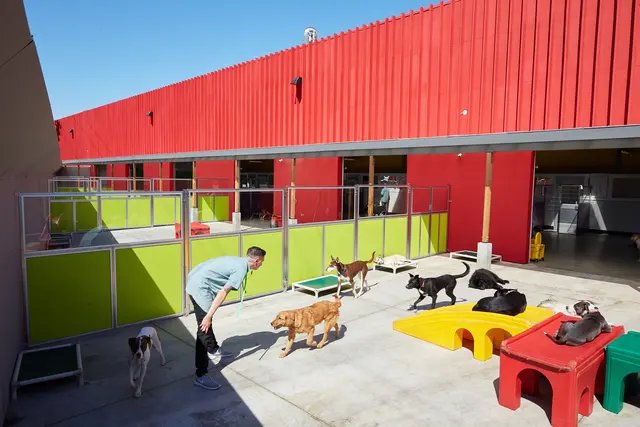 Happy Hound Play & Daycare, Inc. — photo from the business 1