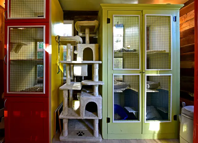 Critter Pet Care — photo from the business 3