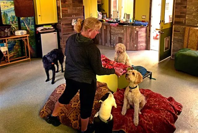 Critter Pet Care — photo from the business 6