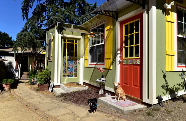 Critter Pet Care — photo from the business 2