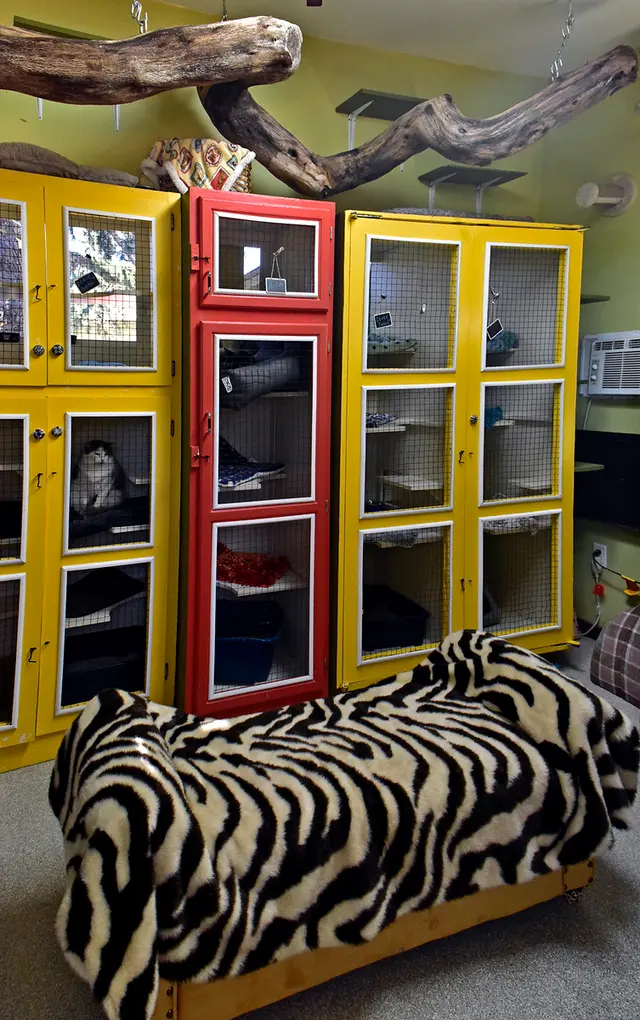 Critter Pet Care — photo from the business 8