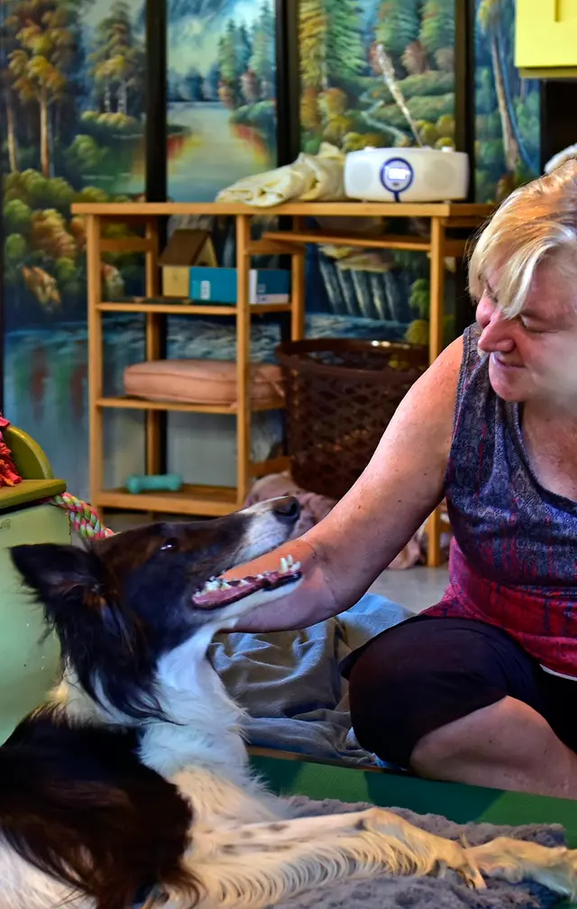 Critter Pet Care — photo from the business 11