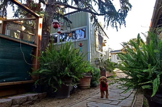 Critter Pet Care — photo from the business 5