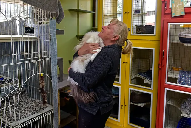 Critter Pet Care — photo from the business 7