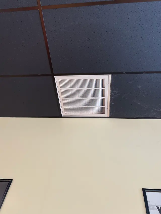 Customer photo from Max's review