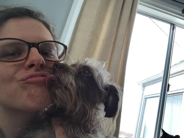 Petite Pet Sitting — photo from the business 12
