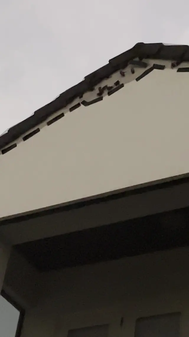 Custom Pest Solutions Inc — customer photo 4
