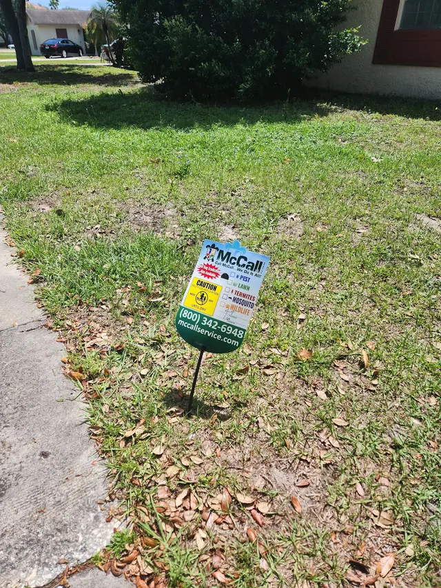 McCall Pest & Wildlife - Orlando — customer photo 4