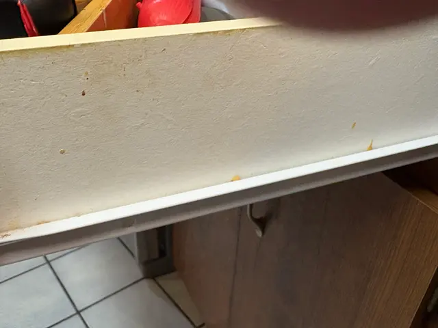 Customer photo from Michael's review