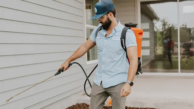 Solve Pest Pros — photo from the business 2