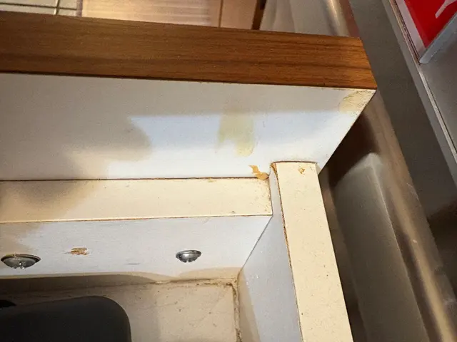 Customer photo from Michael's review