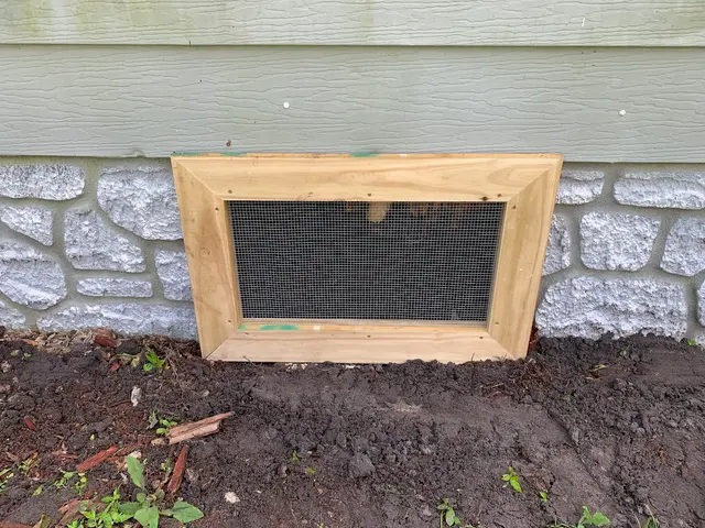 LydyBug Pest Control — photo from the business 6