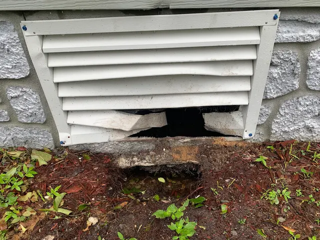 LydyBug Pest Control — photo from the business 11