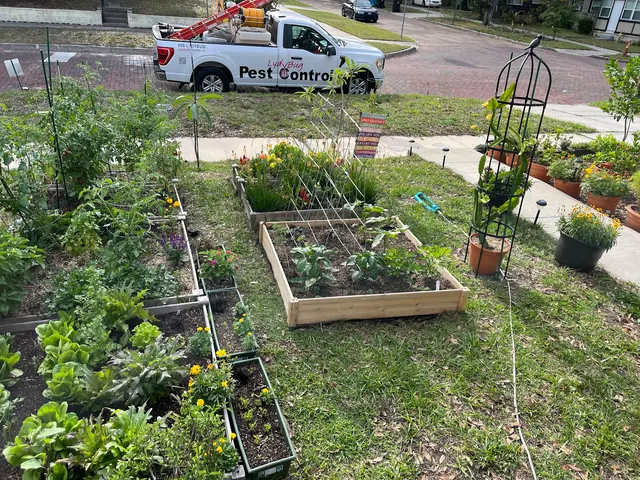 LydyBug Pest Control — photo from the business 2