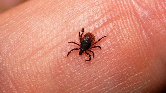 Mr Roland Pest Control, LLC — photo from the business 9