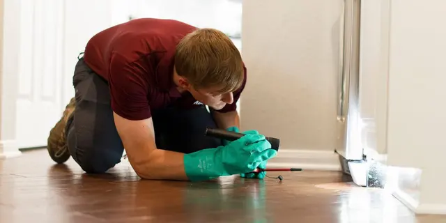 ABC Home & Commercial Services — photo from the business 2