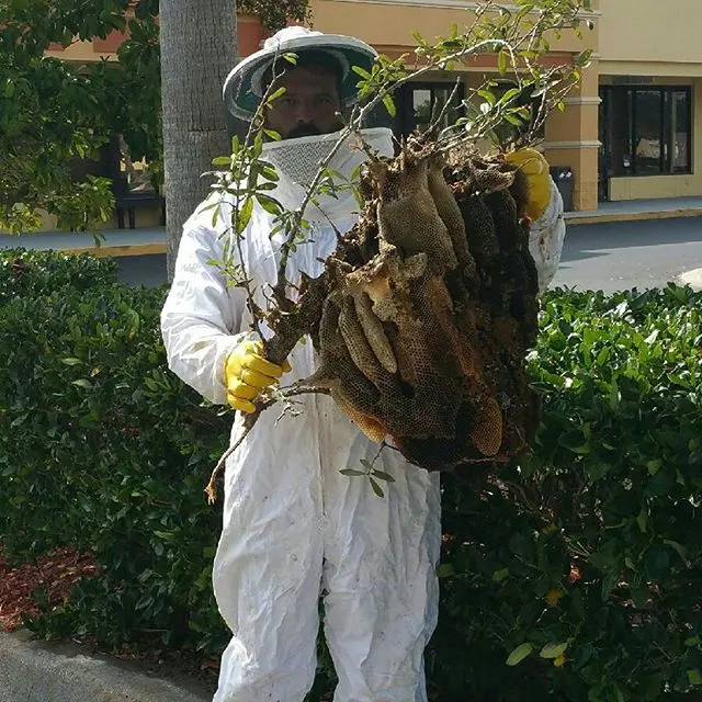 Trapline Pest Solutions — photo from the business 4