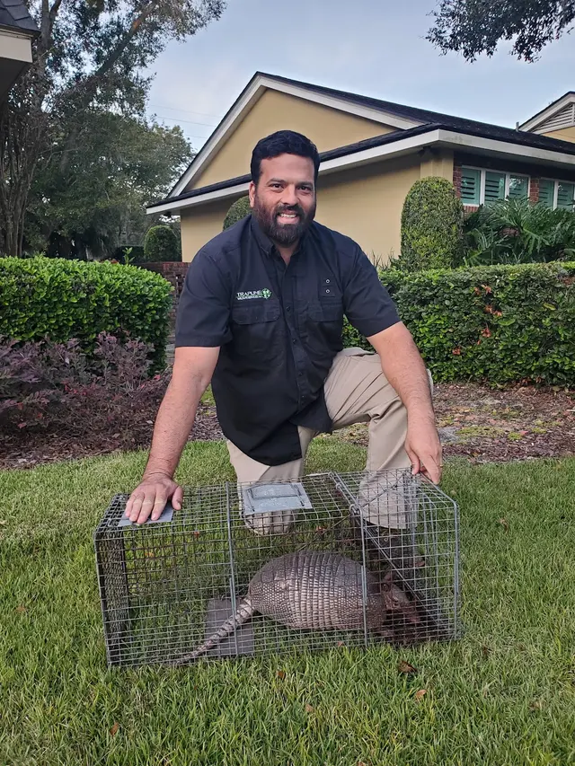 Trapline Pest Solutions — photo from the business 3
