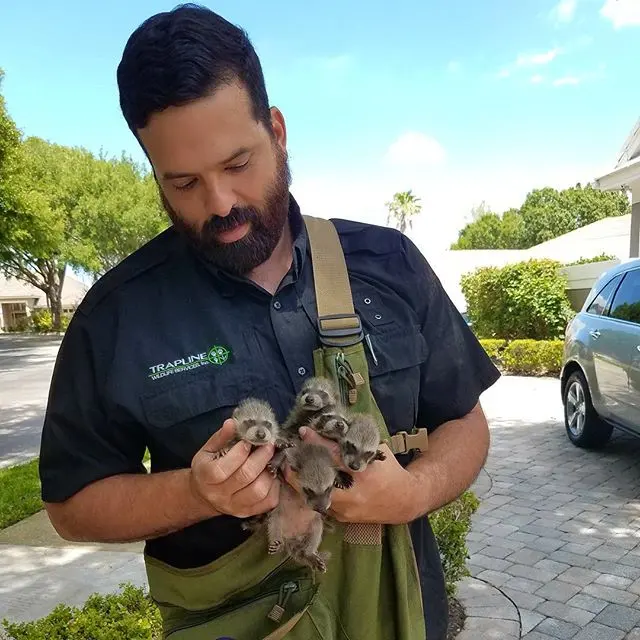 Trapline Pest Solutions — photo from the business 10