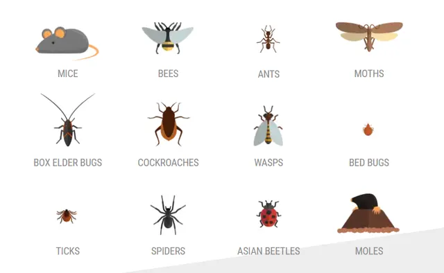 Fenix Pest Control, Inc. — photo from the business 7