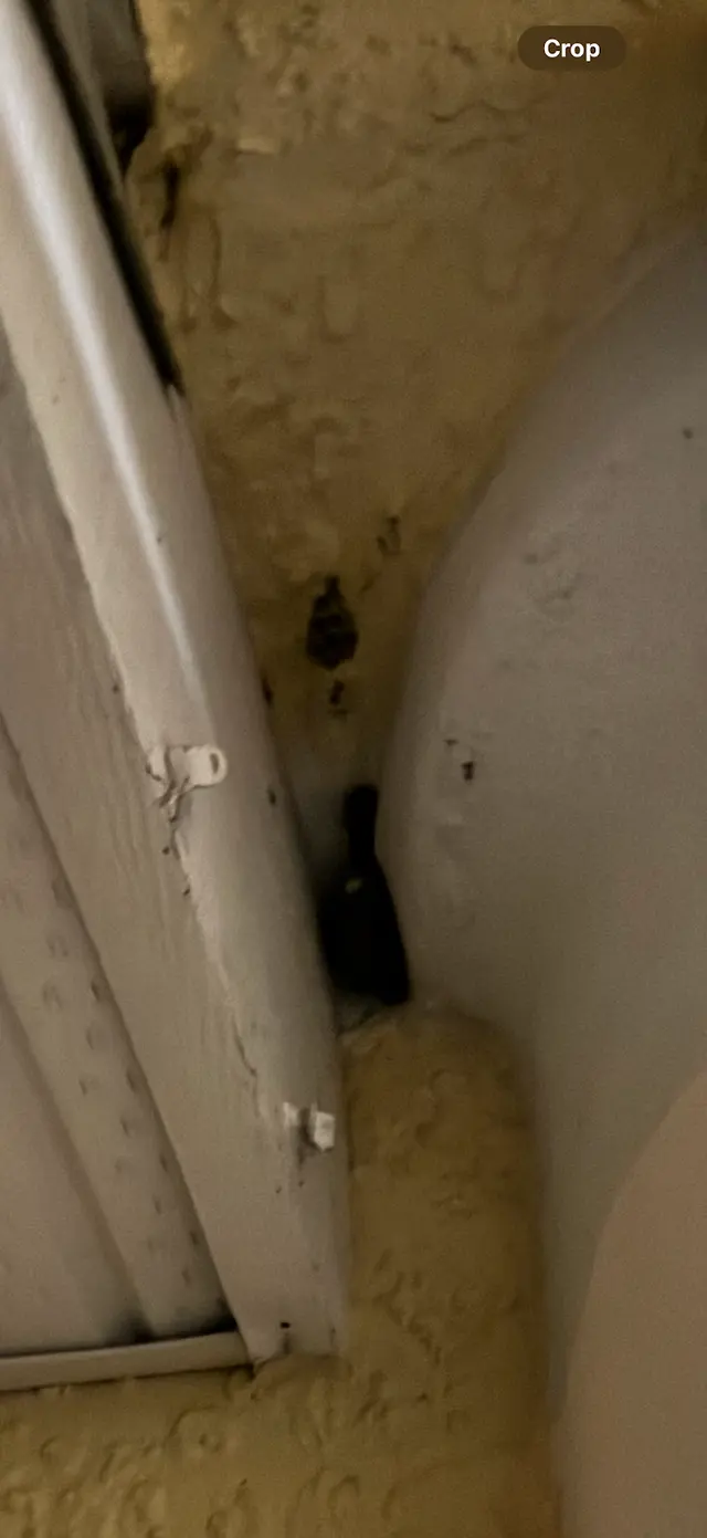 Fenix Pest Control, Inc. — customer photo 11