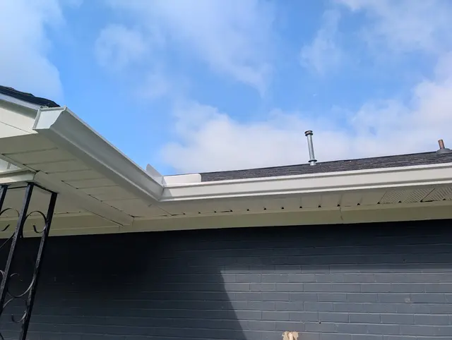 Dan The Gutter Man — customer photo 9