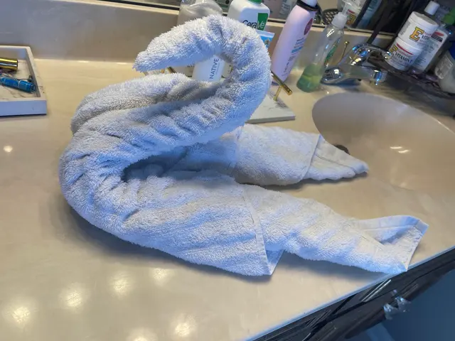 MaidPro Columbus — customer photo 7