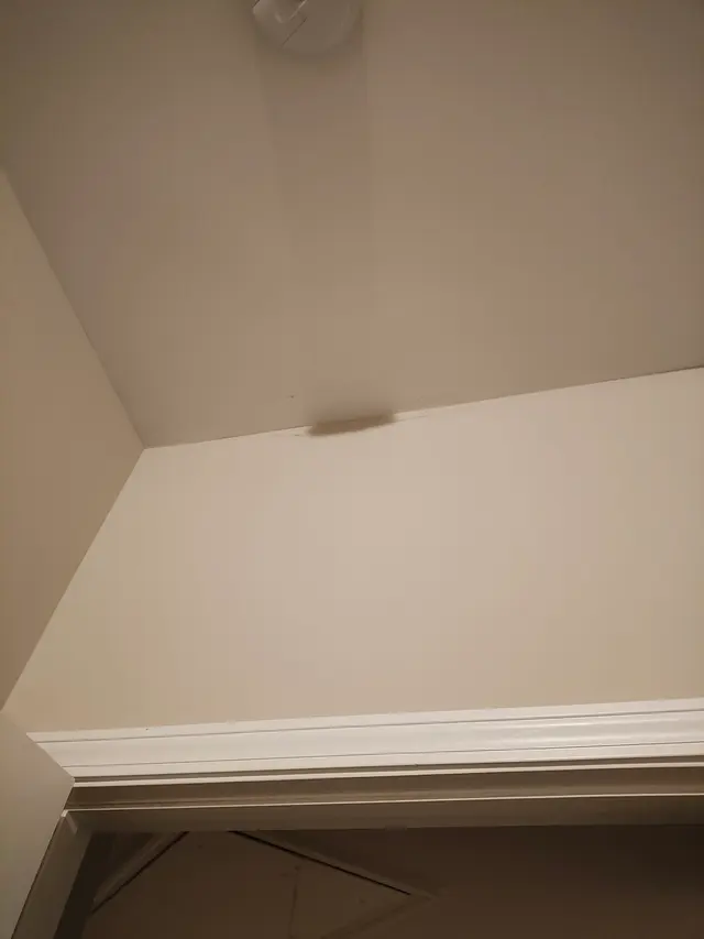 MaidPro Columbus — customer photo 5