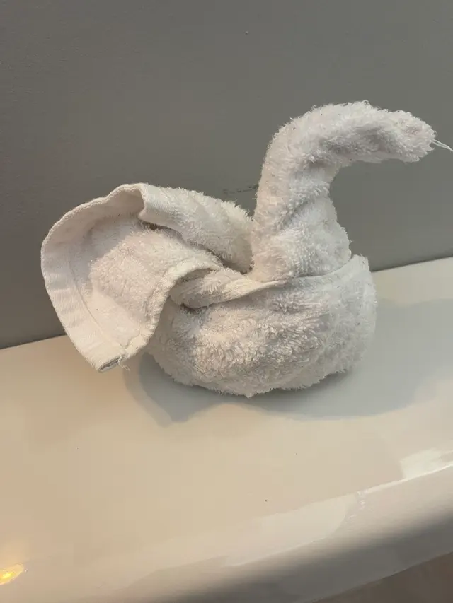MaidPro Columbus — customer photo 9