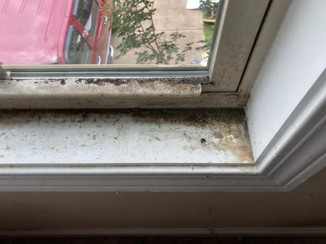 Pristine Cleaning & More, L.L.C — photo from the business 1