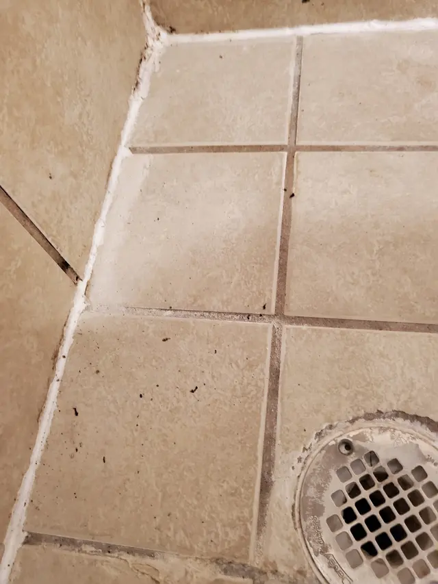 Customer photo from Brion's review