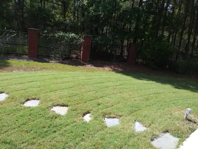 Crystal Clear Cleaning — photo from the business 9