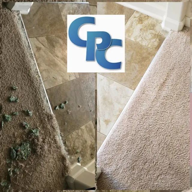 Carpet Pro Cleaners — photo from the business 3